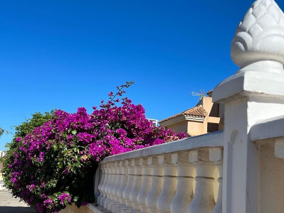 Club Salino 18 Appartement Torrevieja Buitenkant foto